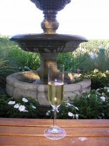 wolffer vineyards wolffer vineyards