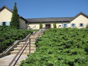 Wolffer Vineyards Wolffer Vineyards